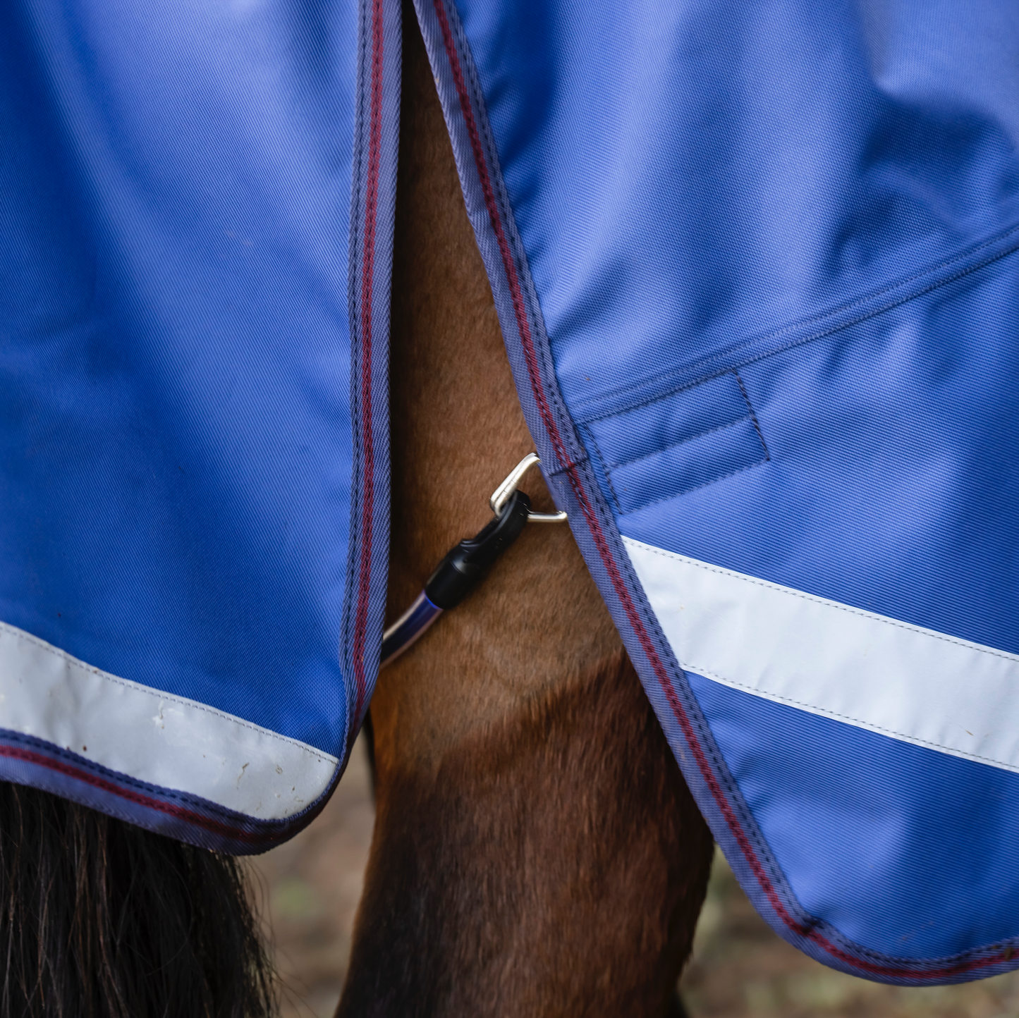 LE Boxter Turnout 100g