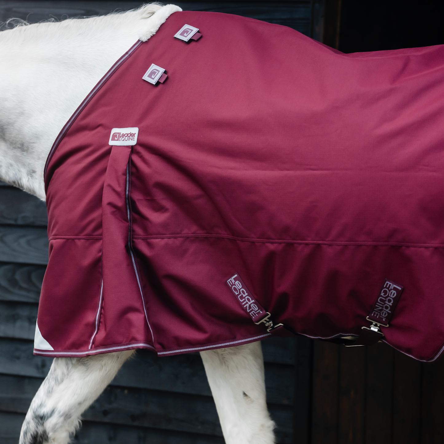 LE Boxter Stable Rug 100g