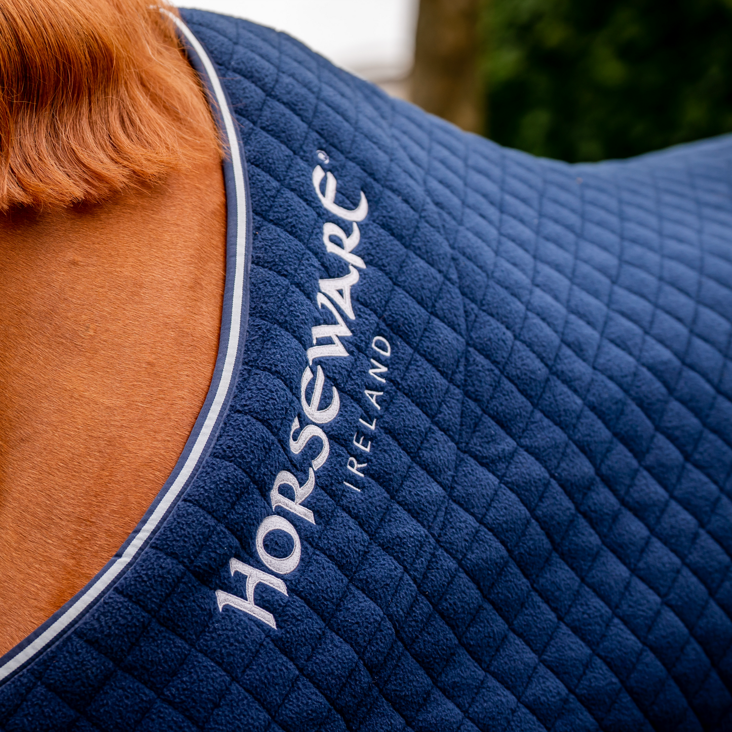 Horseware Autumn Cooler