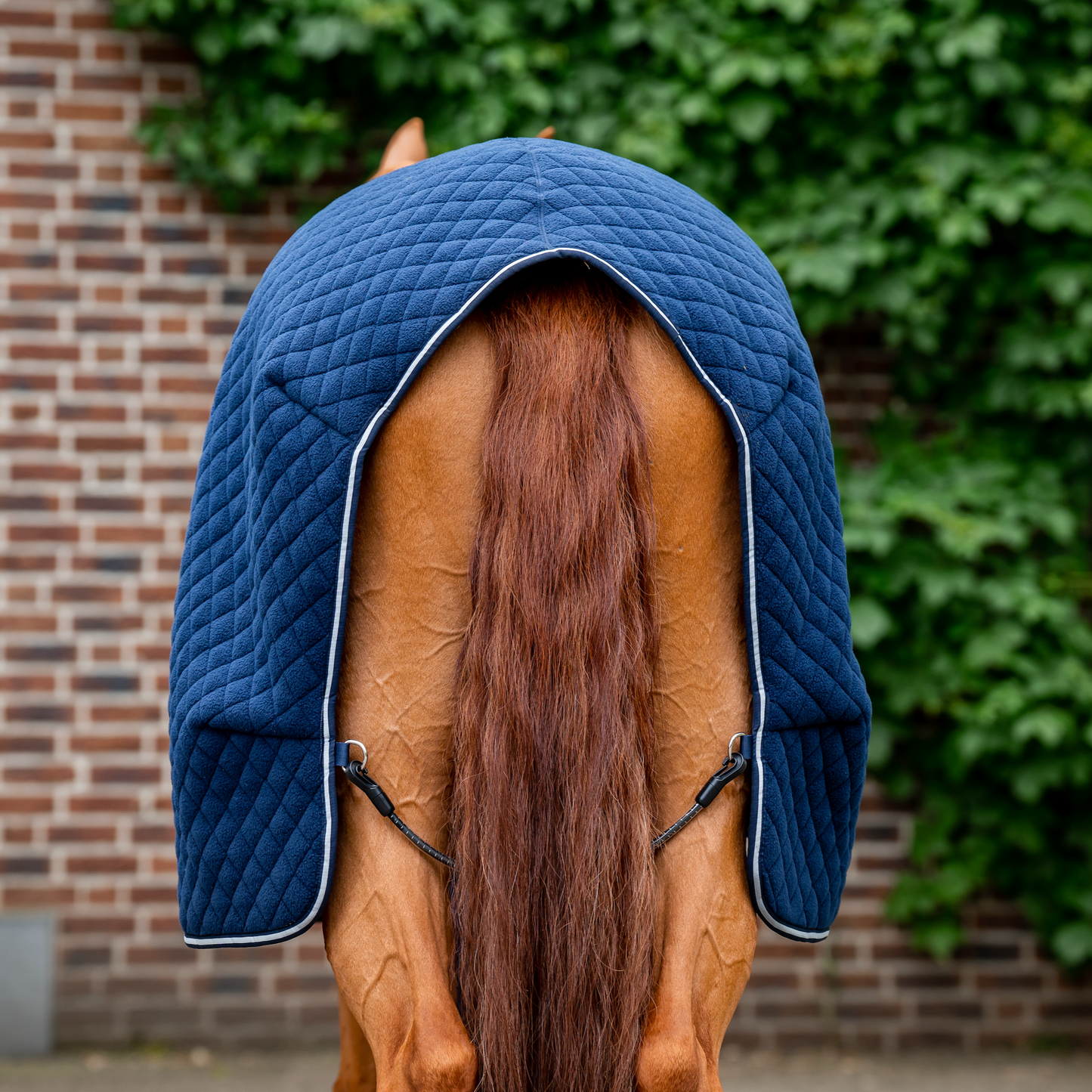 Horseware Autumn Cooler