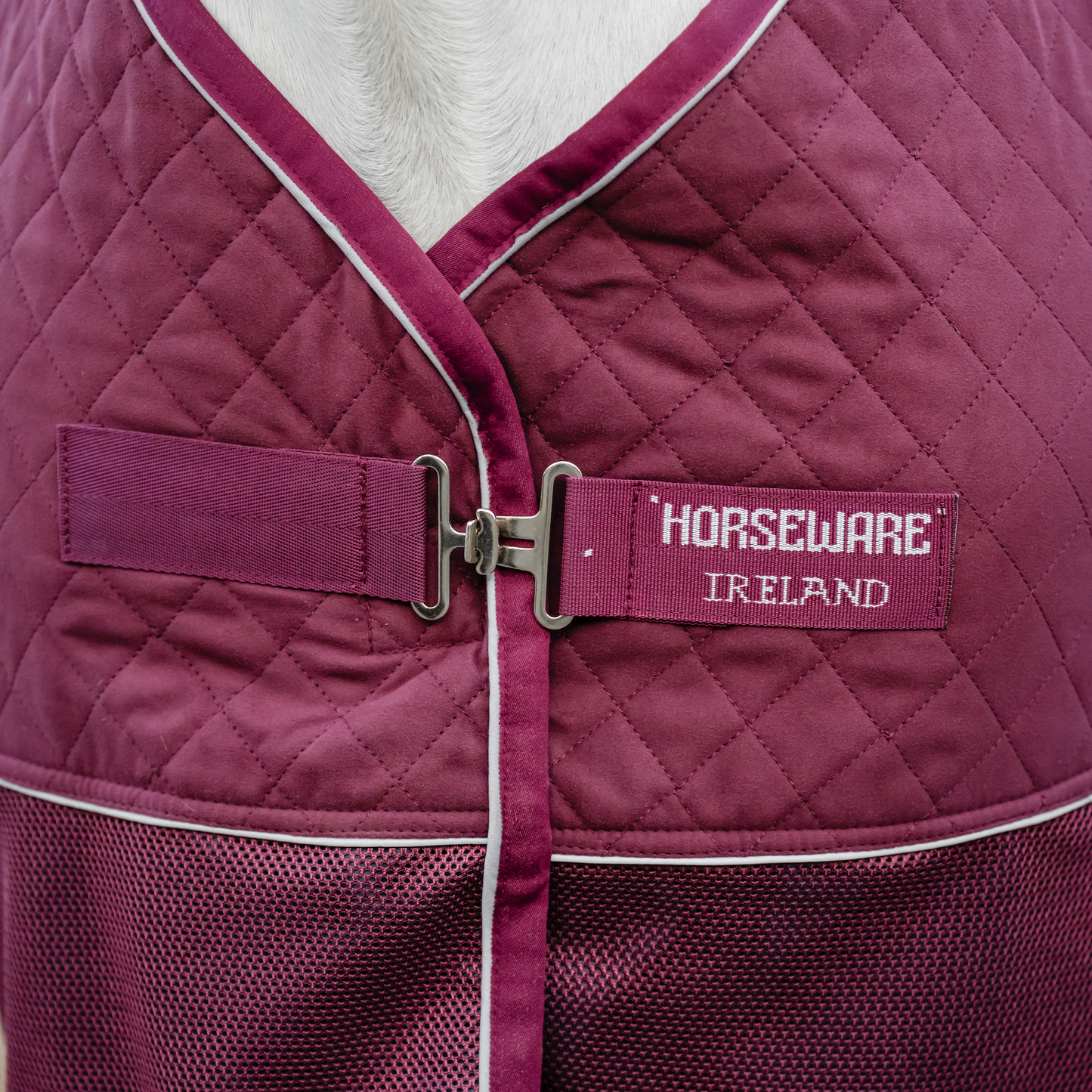 Horseware Signature Travel Cooler