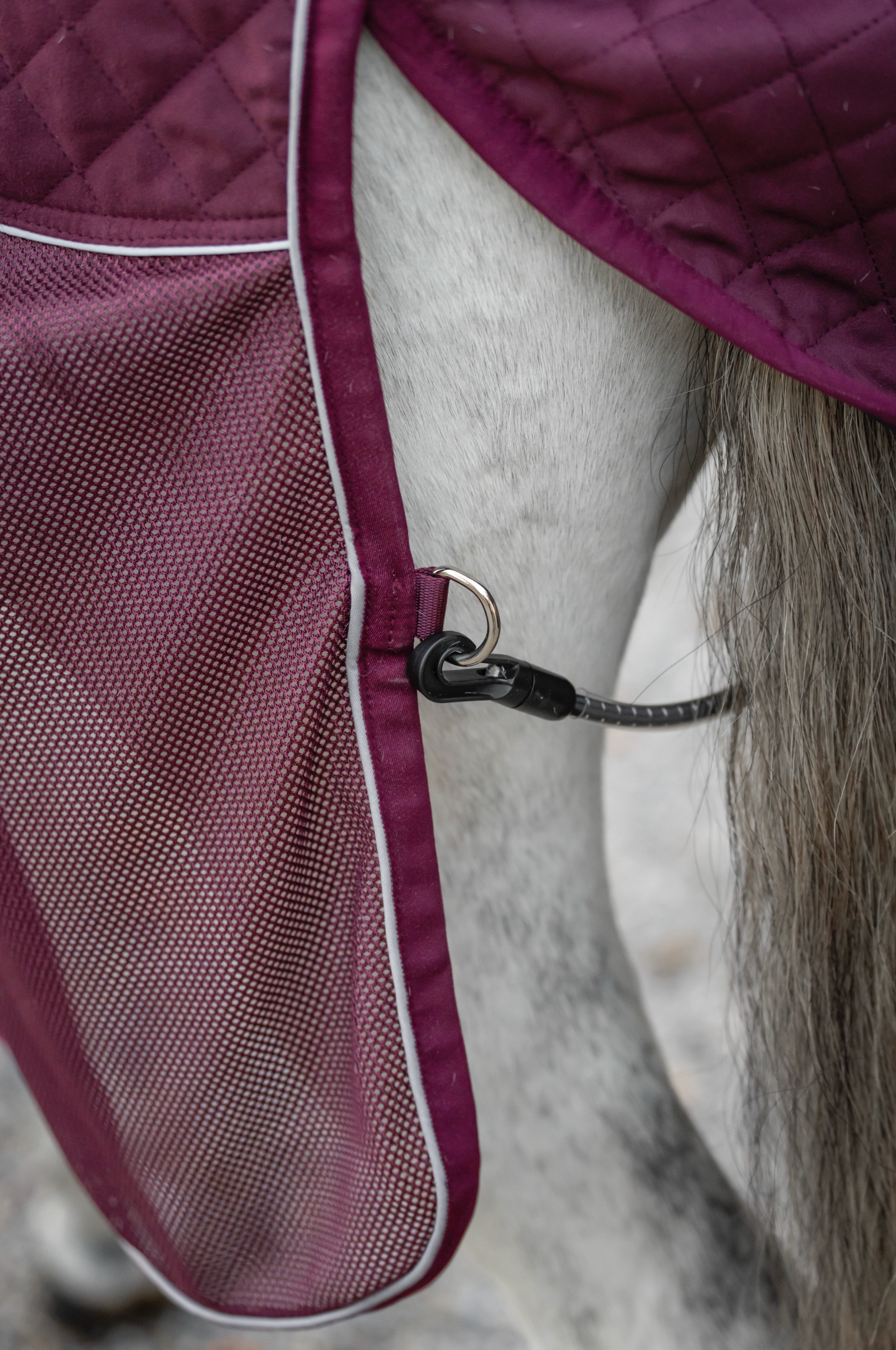 Horseware Signature Travel Cooler