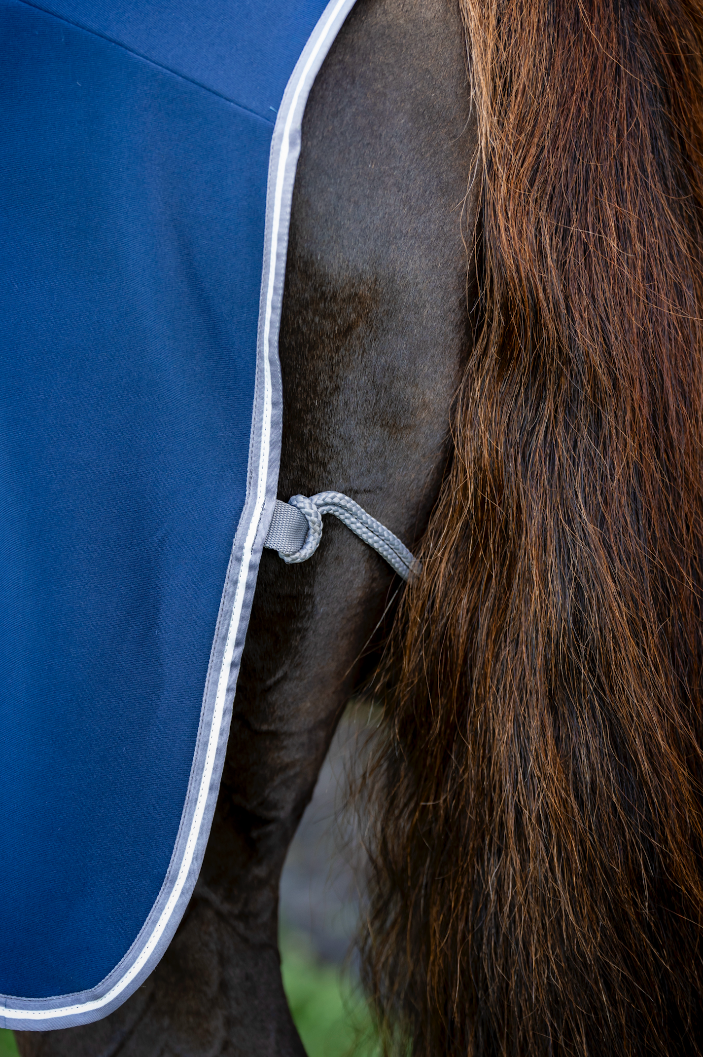 Amigo Jersey Integrated Cooler