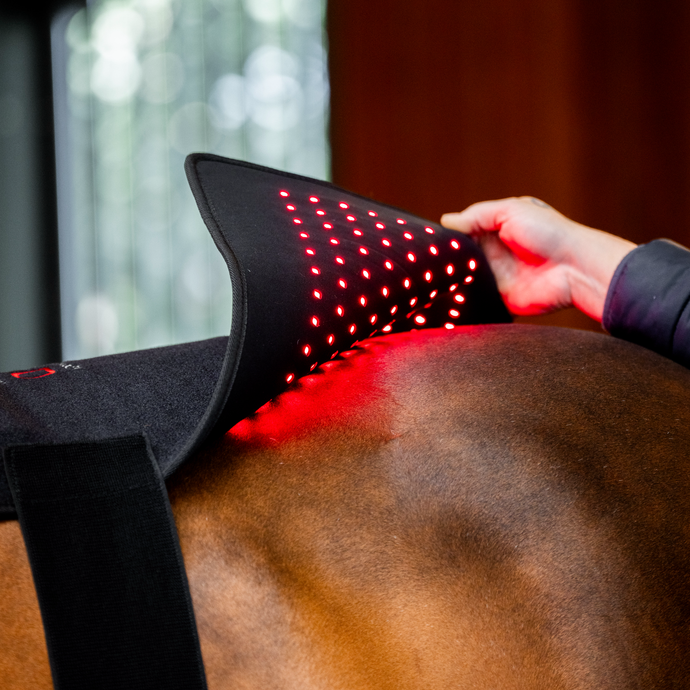 Horseware LED Red Light Therapy Pad