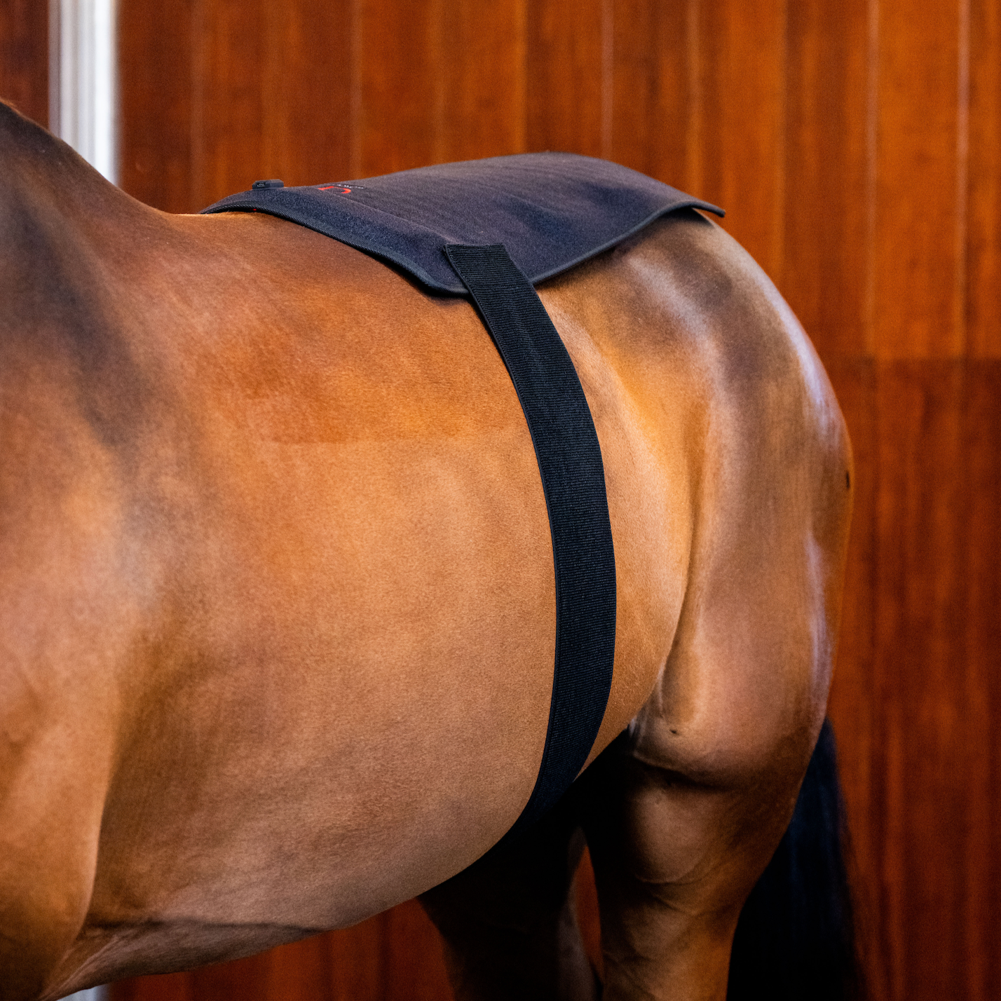 Horseware LED Red Light Therapy Pad