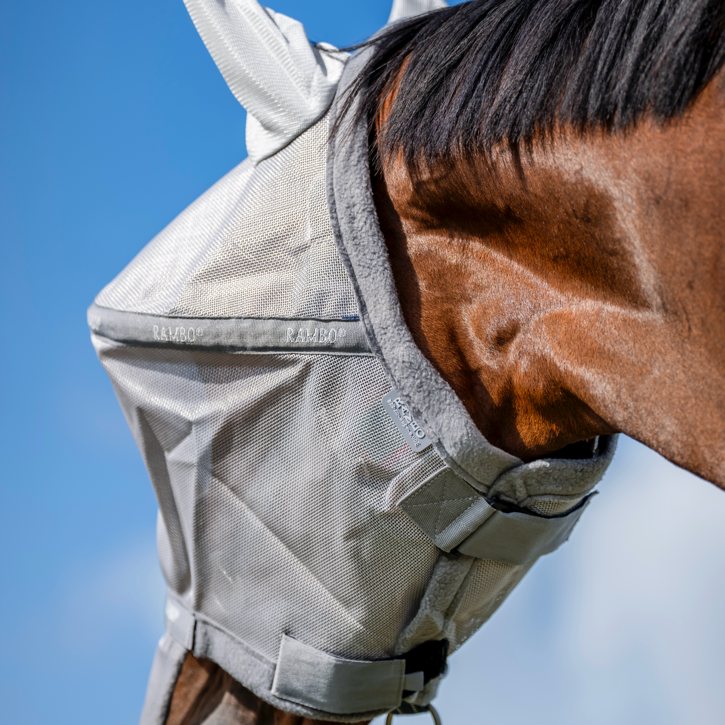 Rambo Flymask