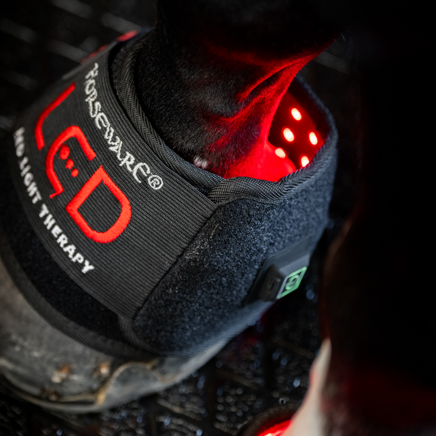 Horseware LED Red Light Therapy Mini Wrap