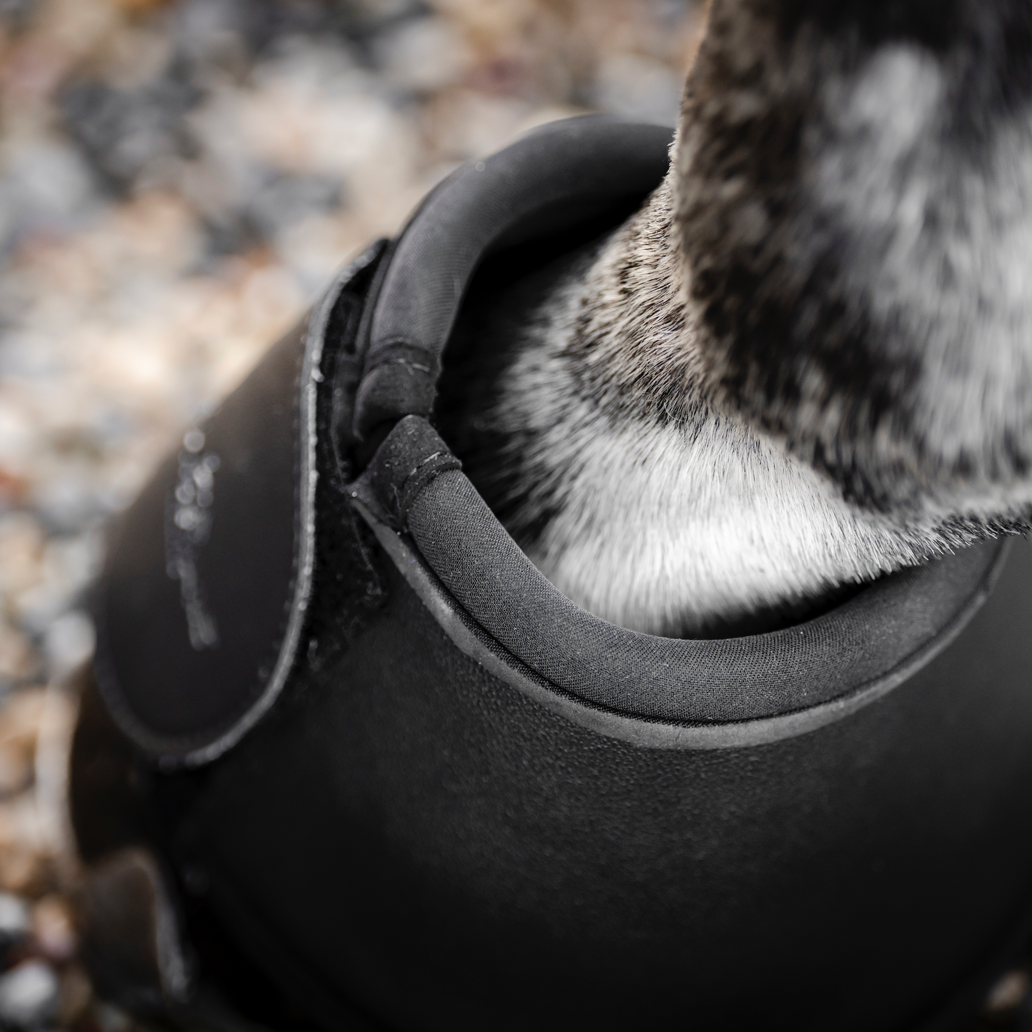 Horseware Overreach Boots