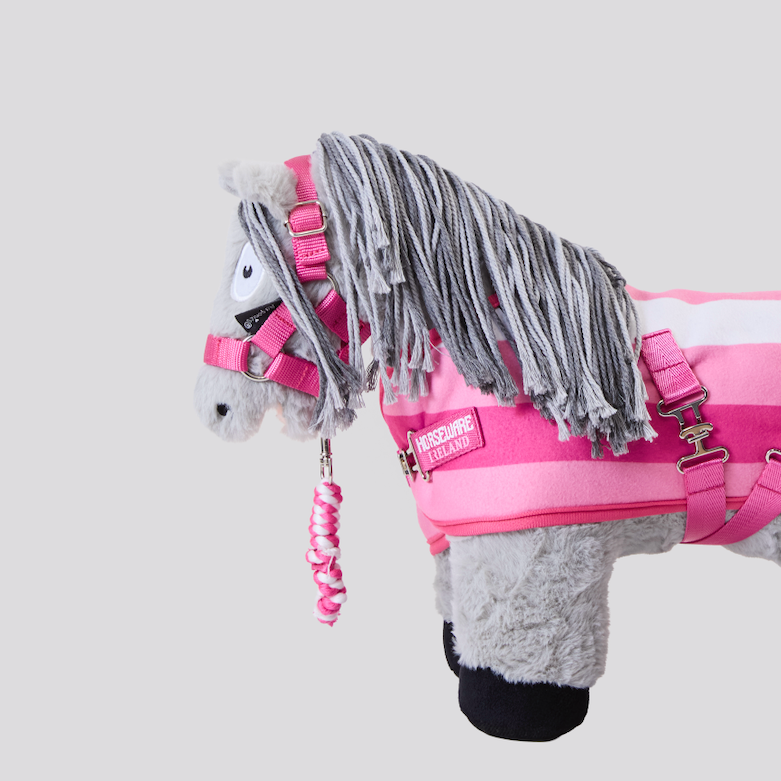 Crafty Ponies Horseware Headcollar & Leadrope