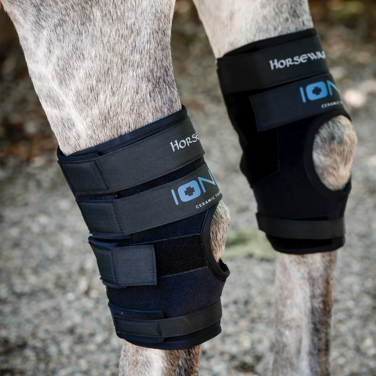 Horseware Ionic Hock Boots