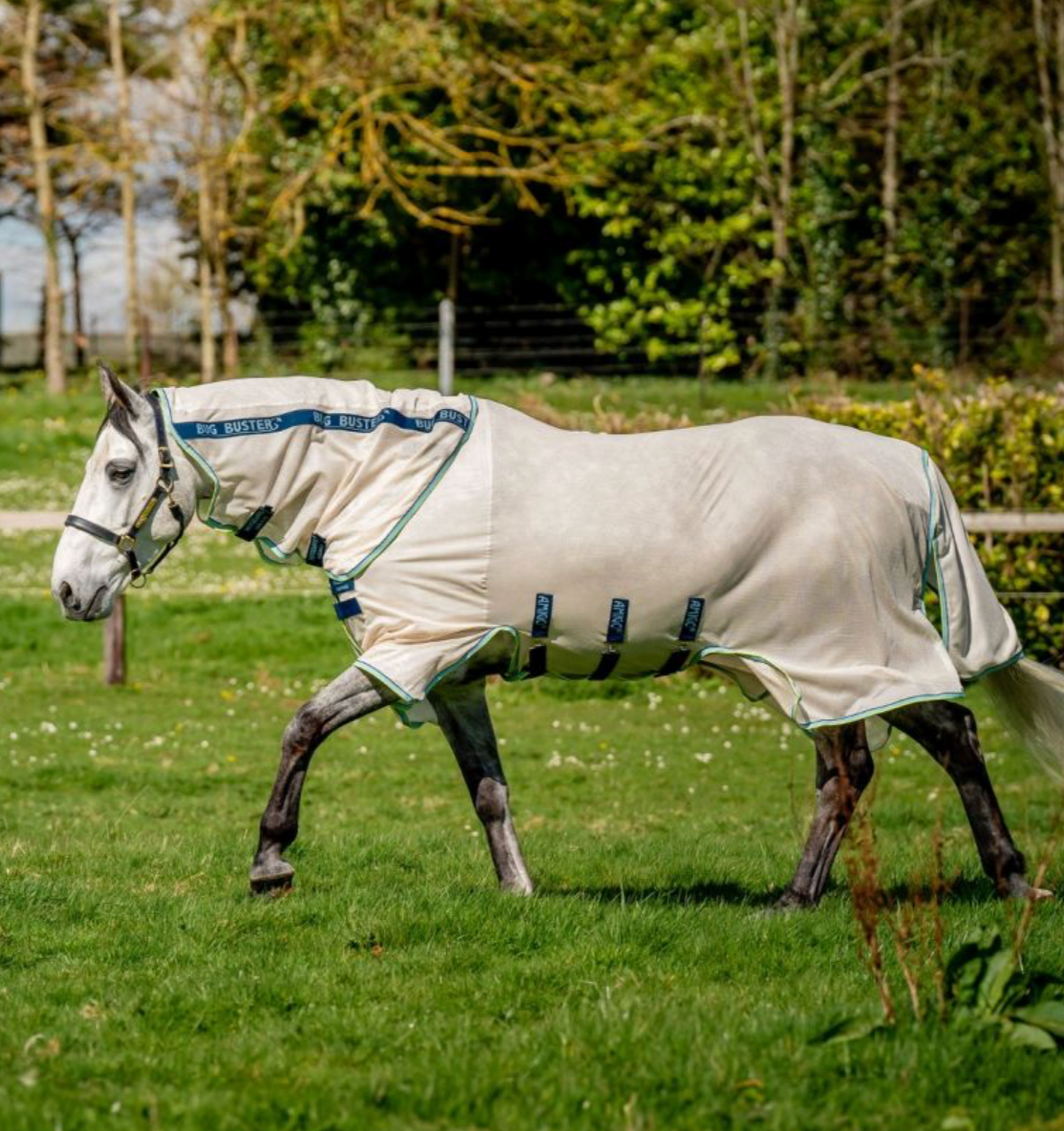 Amigo Bug Buster Fly Sheet