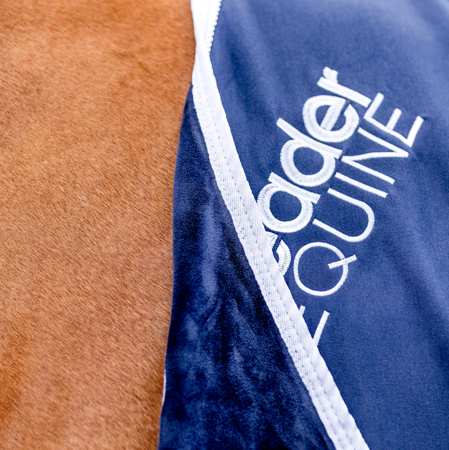 LE Champion Cooler Rug