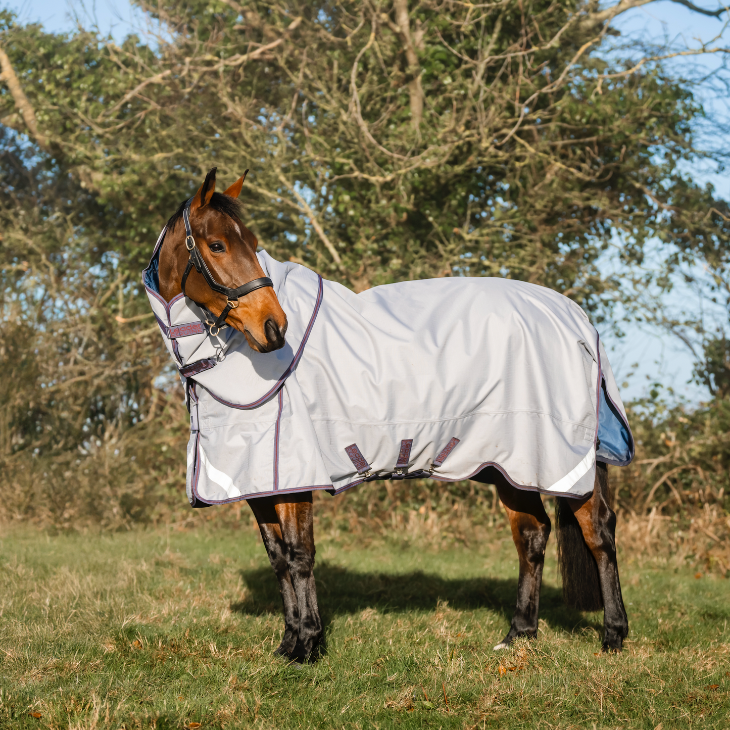LE Boxter Turnout Ripstop 50g
