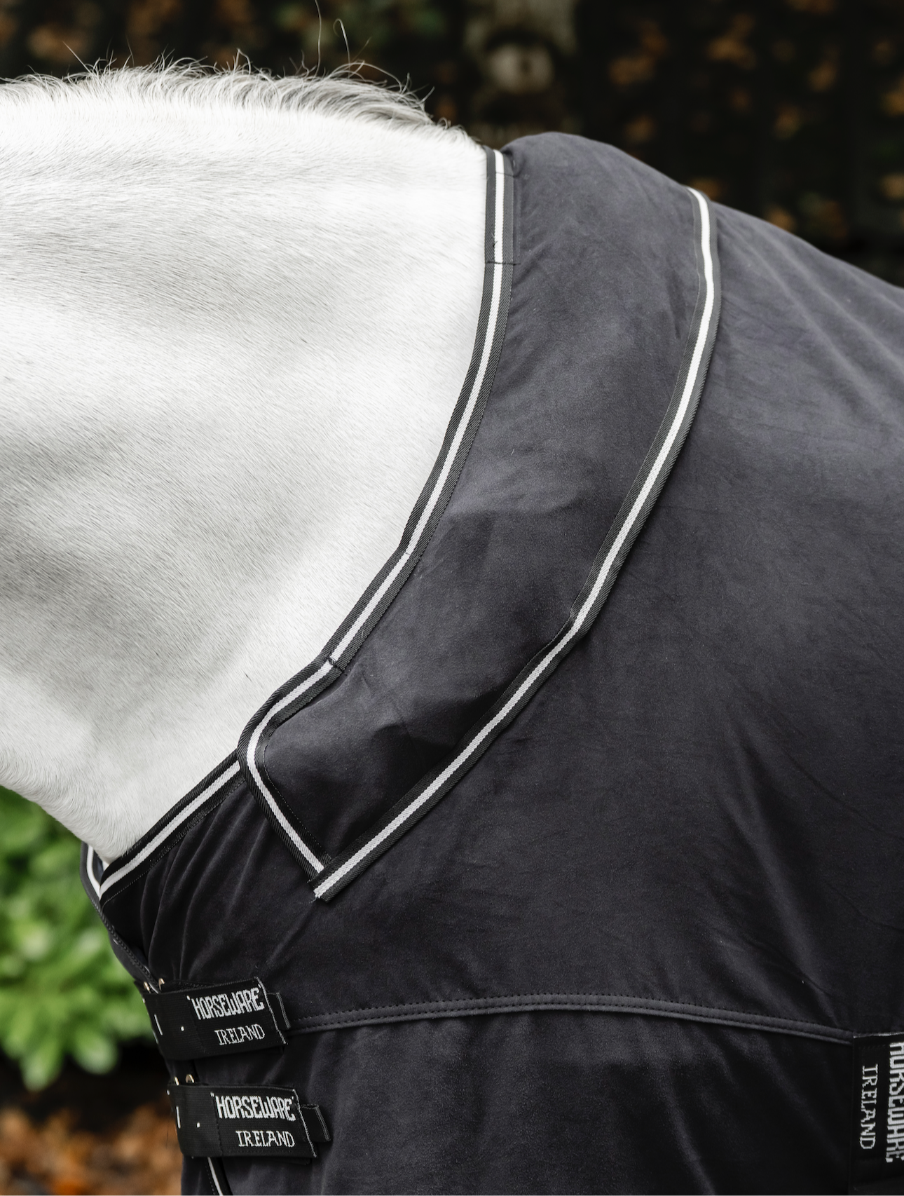 Horseware Show Ready Rug