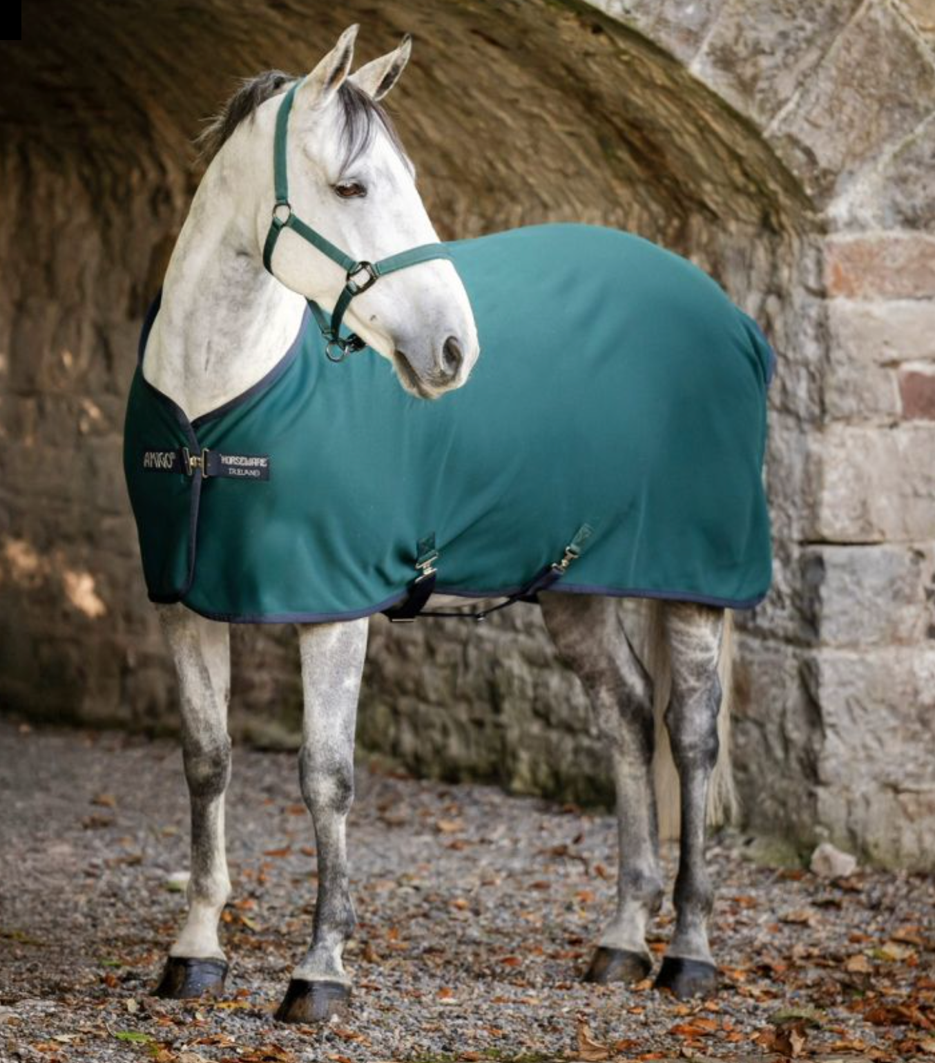 Amigo Jersey Cooler