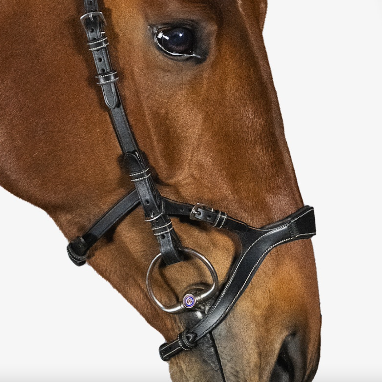 PSOS Bridle Nirak