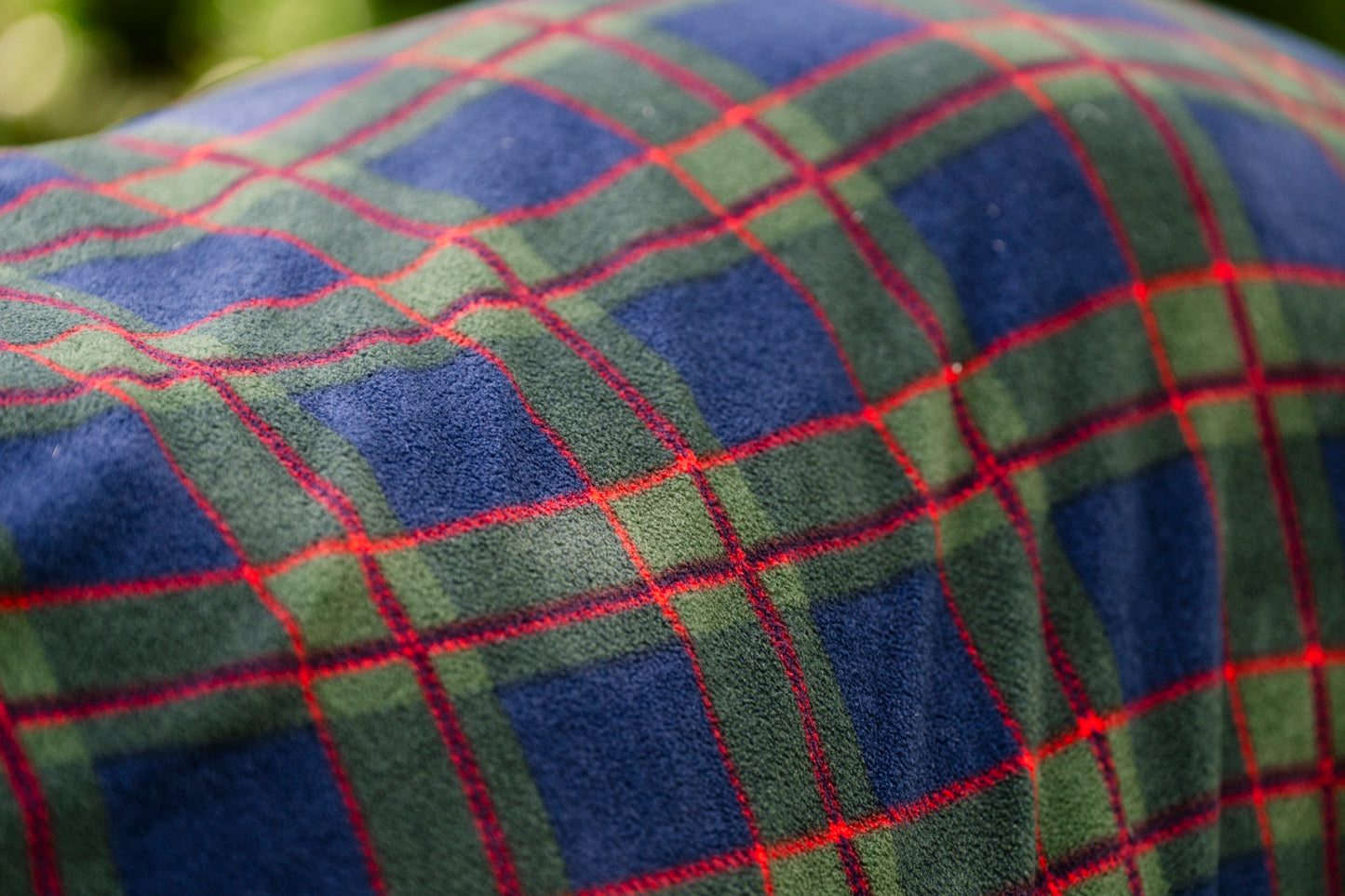 Rhino Check Fleece Cooler