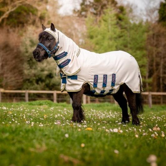 Amigo Petite Ripstop Hoody -Seconds