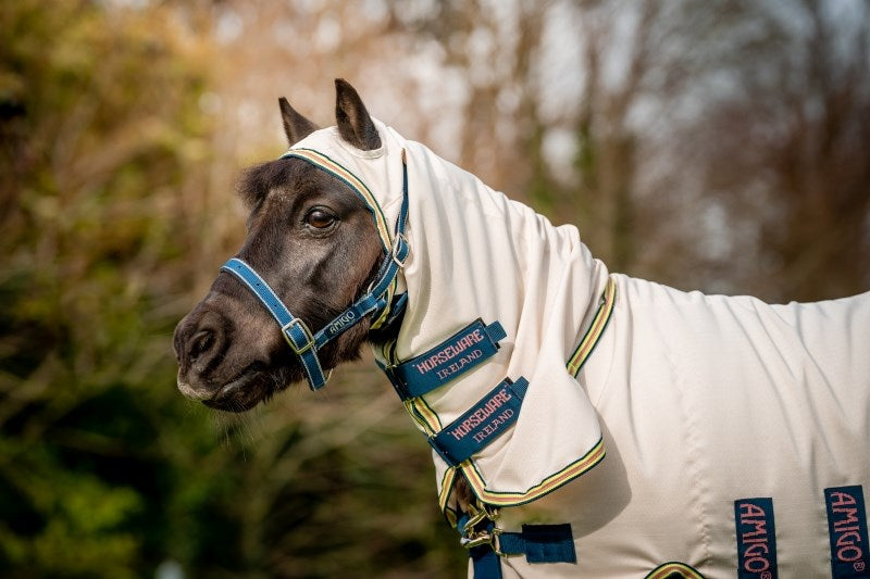 Amigo Petite Ripstop Hoody -Seconds