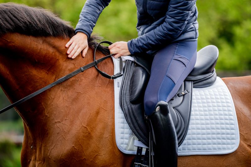 HW Tech Comfort Dressage Saddle Pad, White