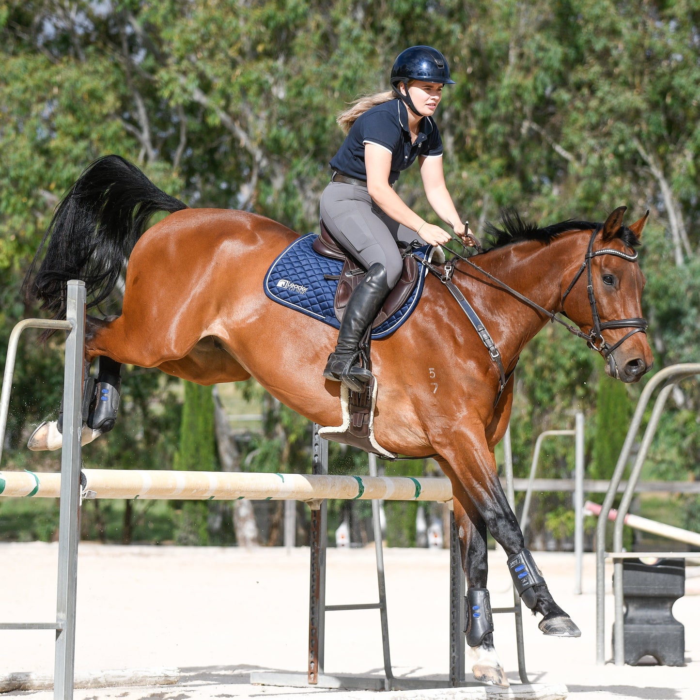 LE Classic Cotton Polo Shirt
