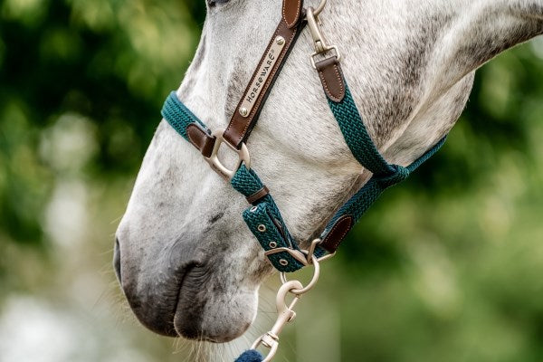 Horseware Signature Braided Headcollar, Hunter Green
