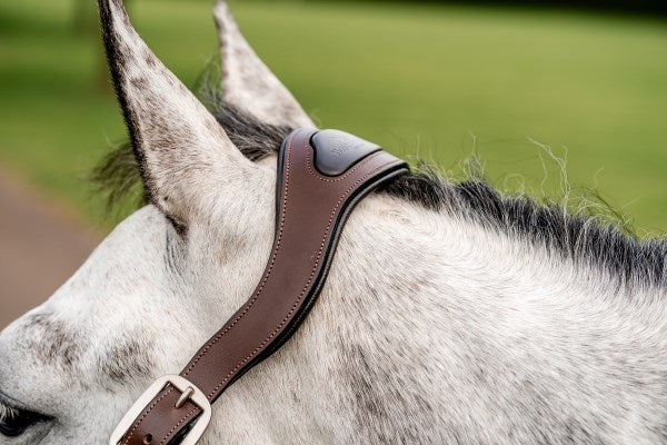 Horseware Signature Braided Headcollar, Hunter Green