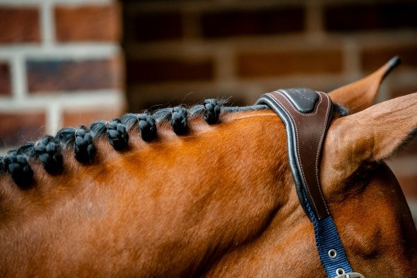 Horseware Signature Competition Headcollar, Navy
