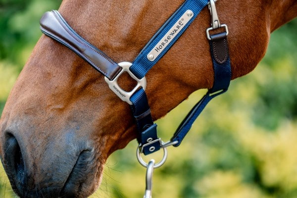 Horseware Signature Competition Headcollar, Navy