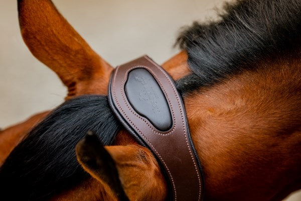 Horseware Signature Competition Headcollar, Blue Haze