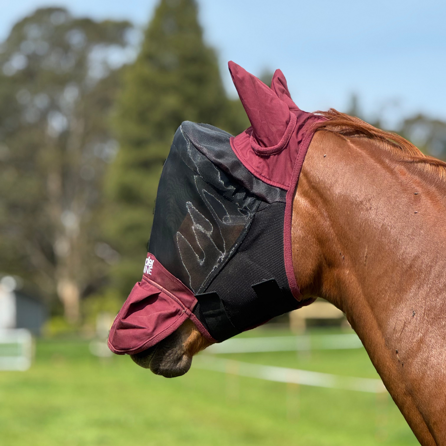 LE Outback Flymask with Ears & Nose
