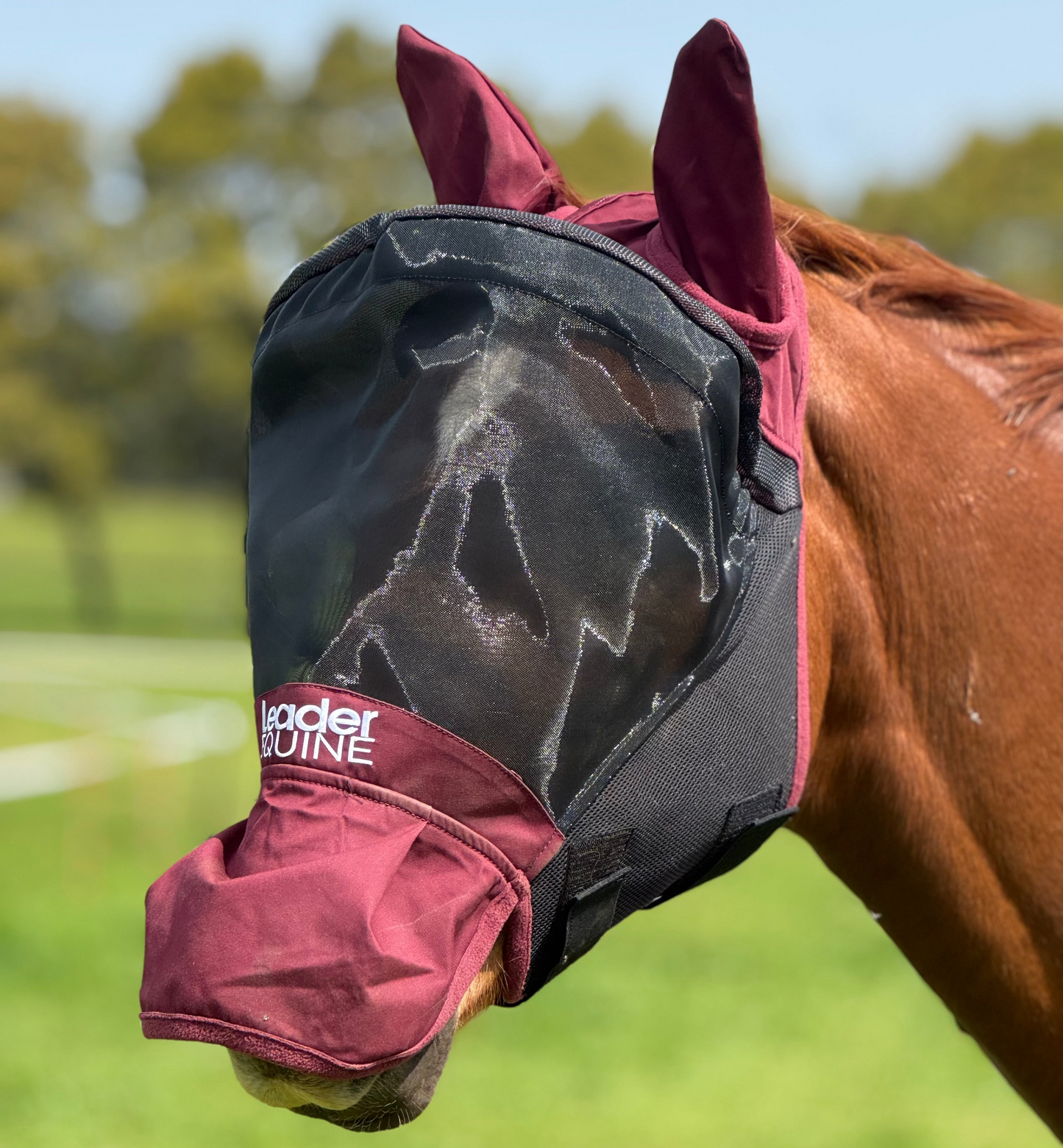 LE Outback Flymask with Ears & Nose