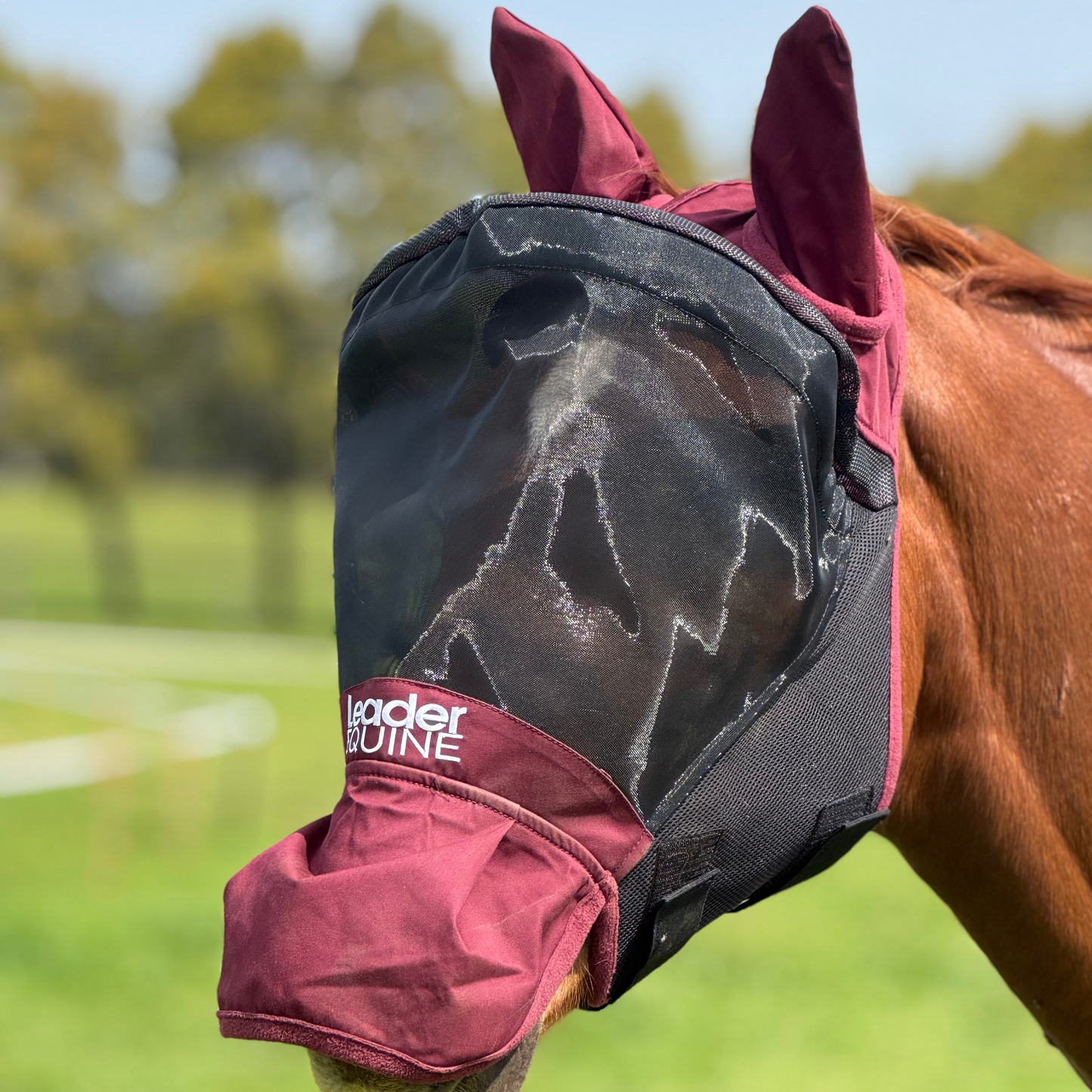 LE Outback Flymask with Ears & Nose