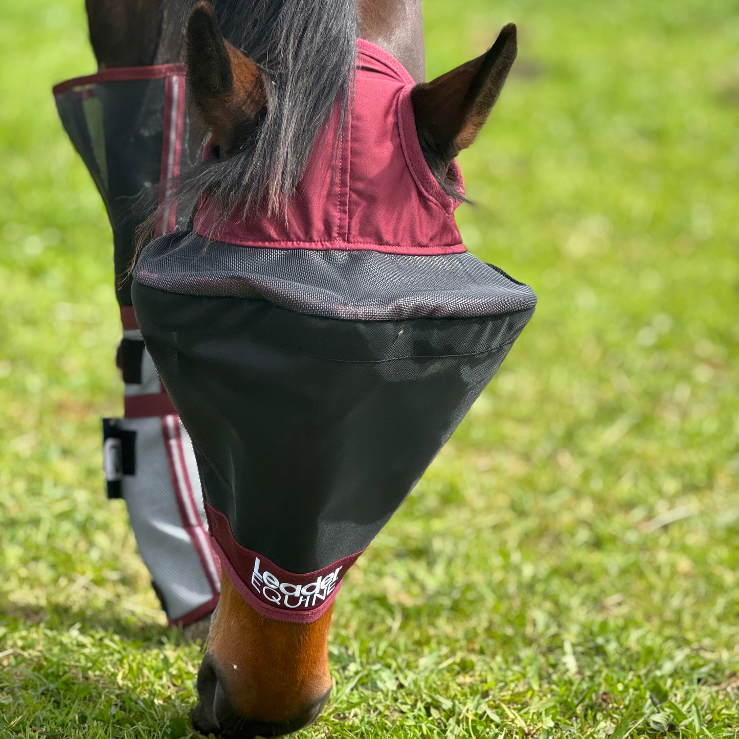 LE Outback Fly Mask Original