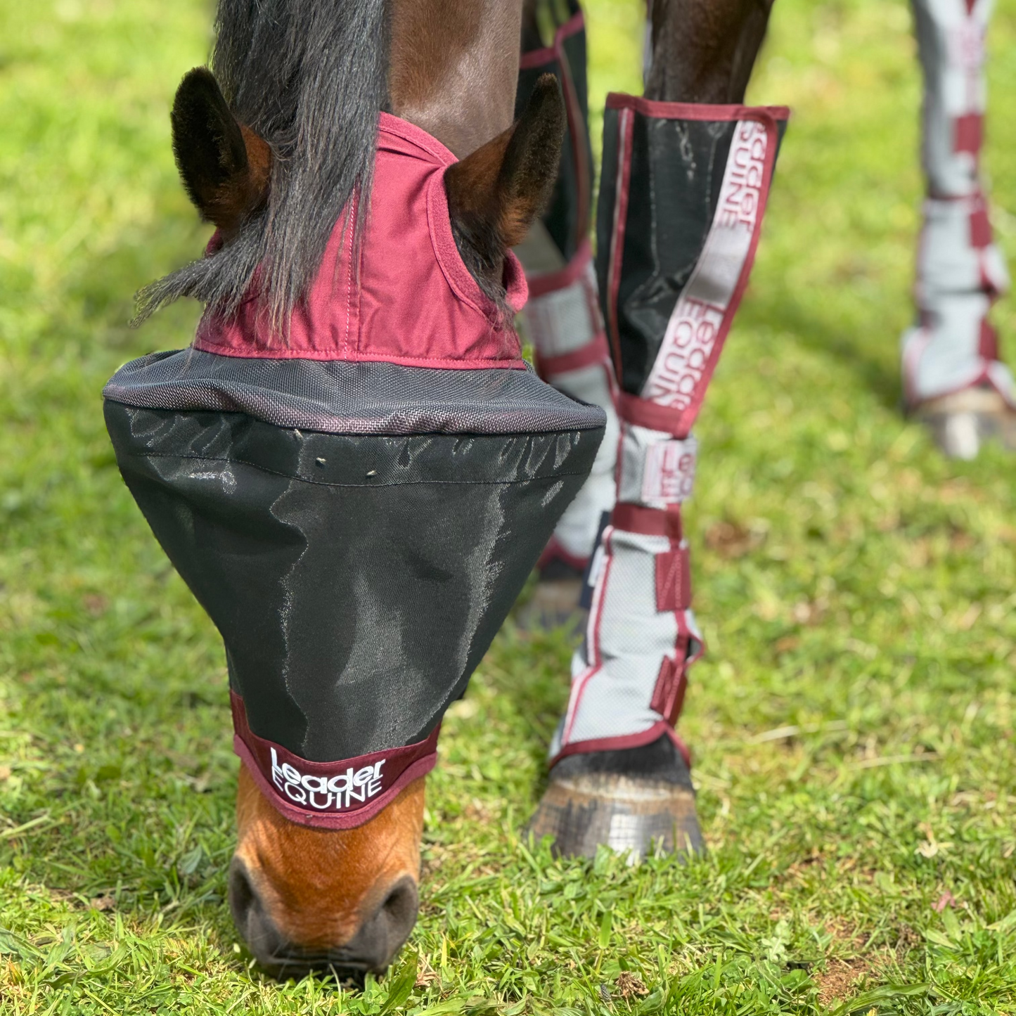 LE Outback Fly Mask Original