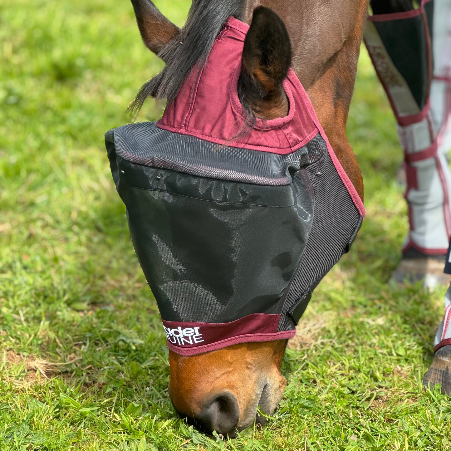 LE Outback Flymask Original