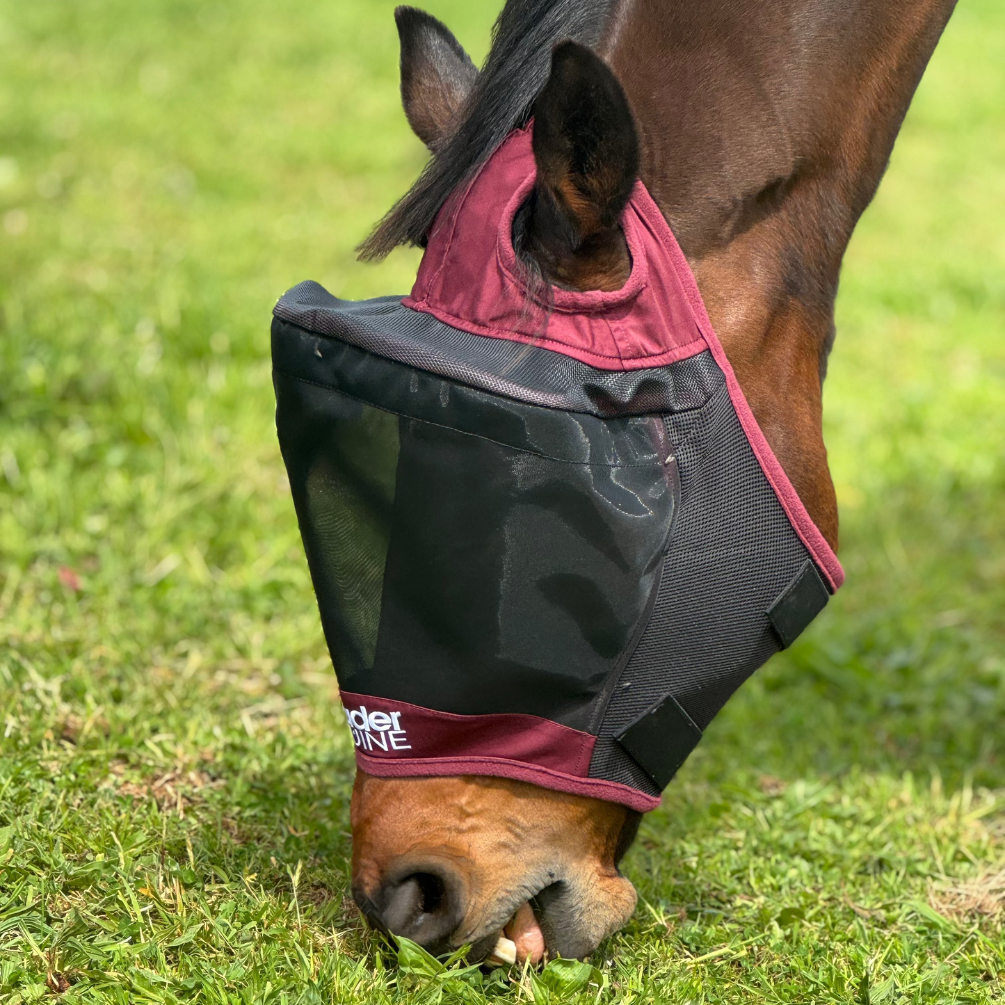 LE Outback Fly Mask Original