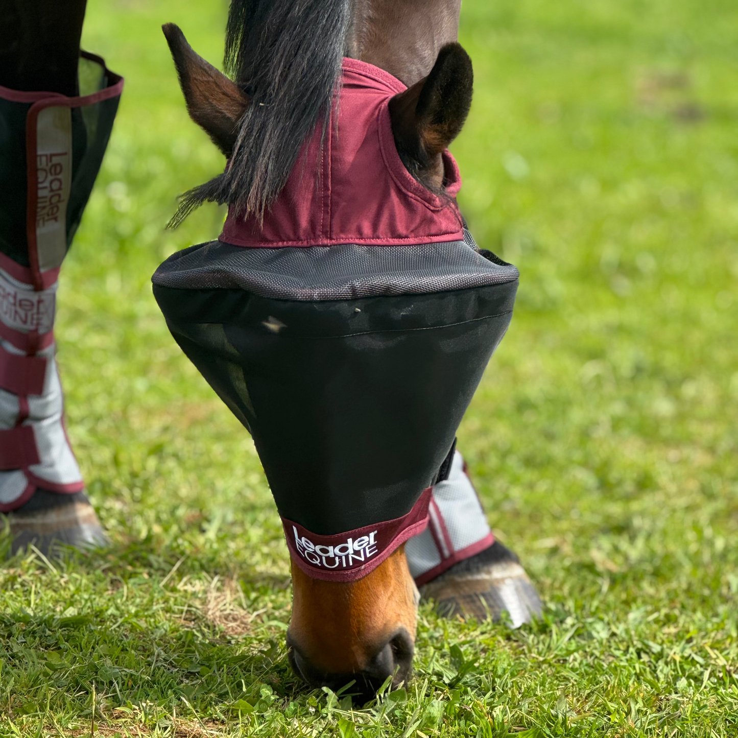 LE Outback Fly Mask Original