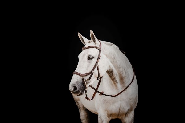 HW Micklem 2 Deluxe Comp Bridle