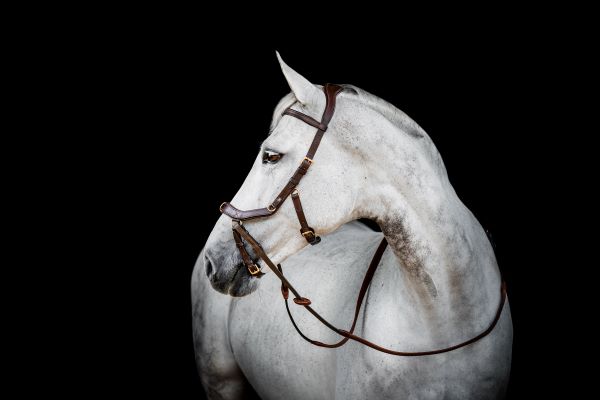 HW Micklem 2 Multi-Bridle