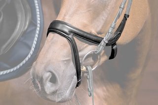 PSOS Jump Off Noseband