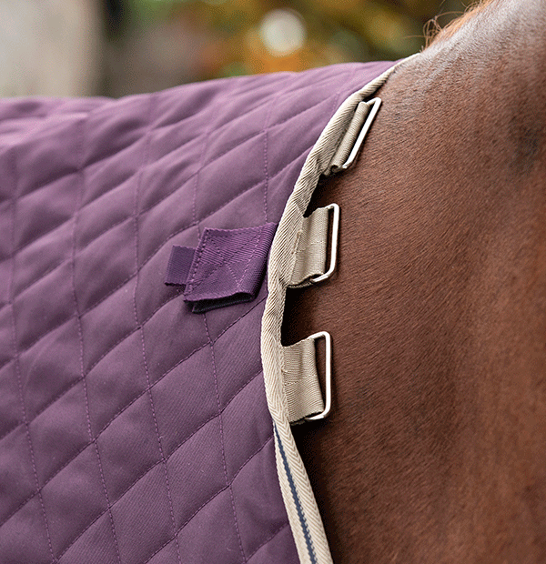 Amigo Stable Plus Medium Disc Front