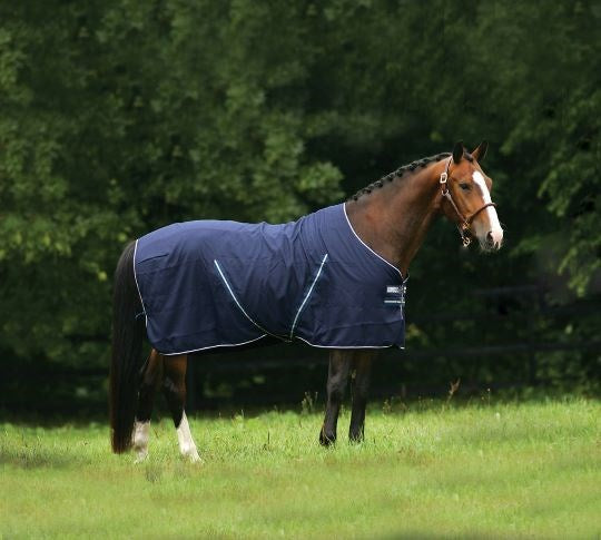 Rambo Stable Sheet