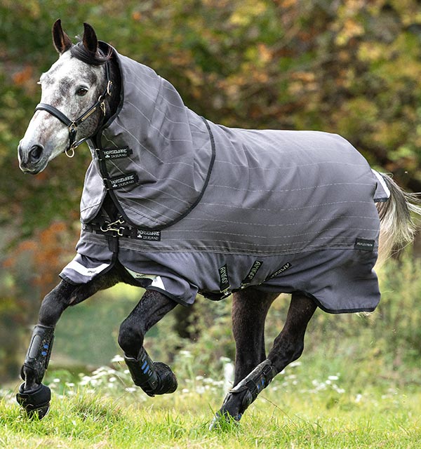 Amigo Bravo 12 ReflecTech Plus 100g