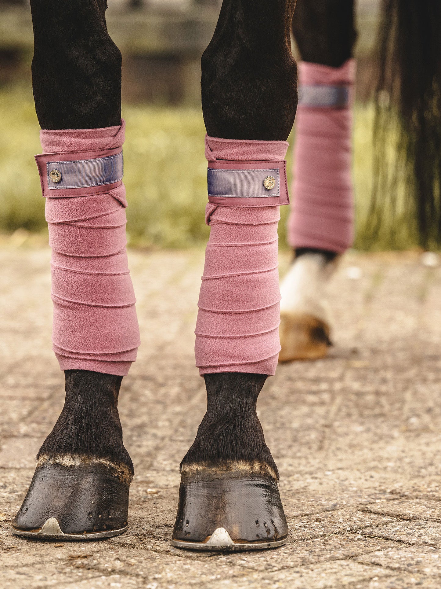 PSOS Polos, Roseberry, Bow