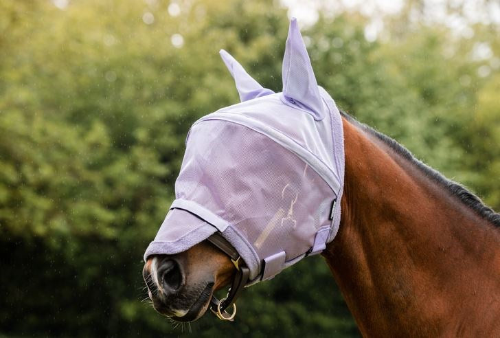 Rambo Flymask Plus Lavender