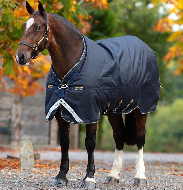 Amigo Bravo 12 XL Medium V-Front