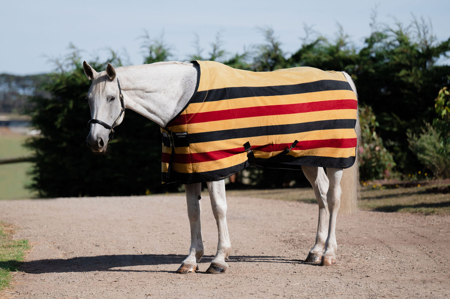 Rambo Deluxe Fleece