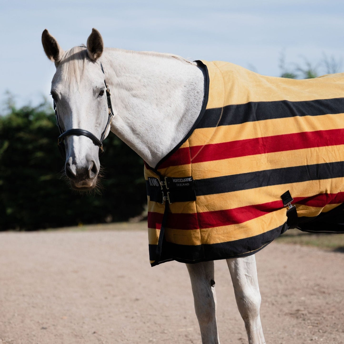 Rambo Deluxe Fleece