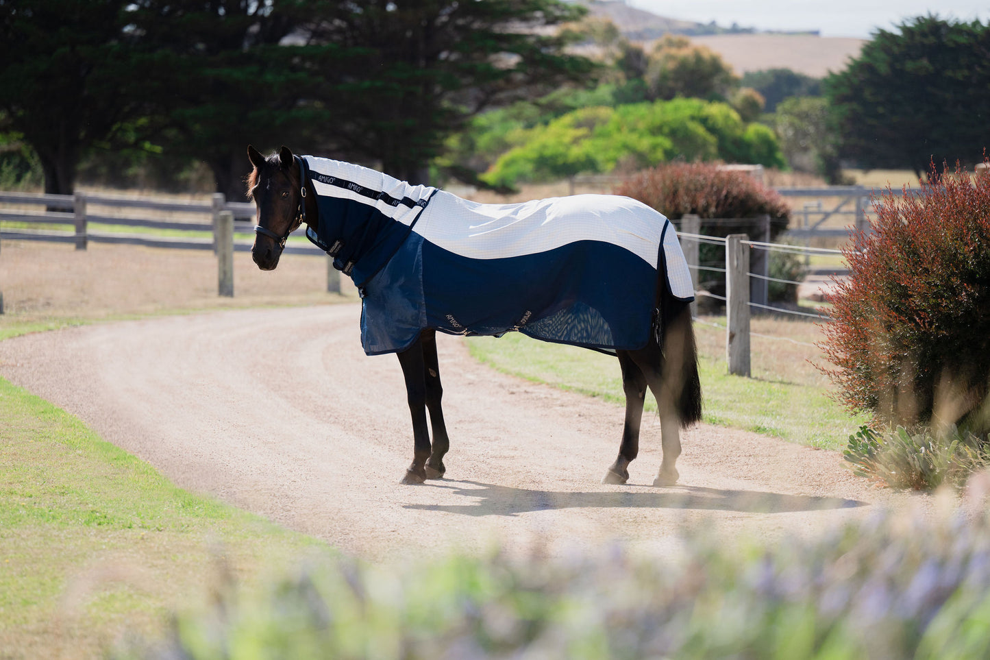 Amigo Helix Airflow Disc Front